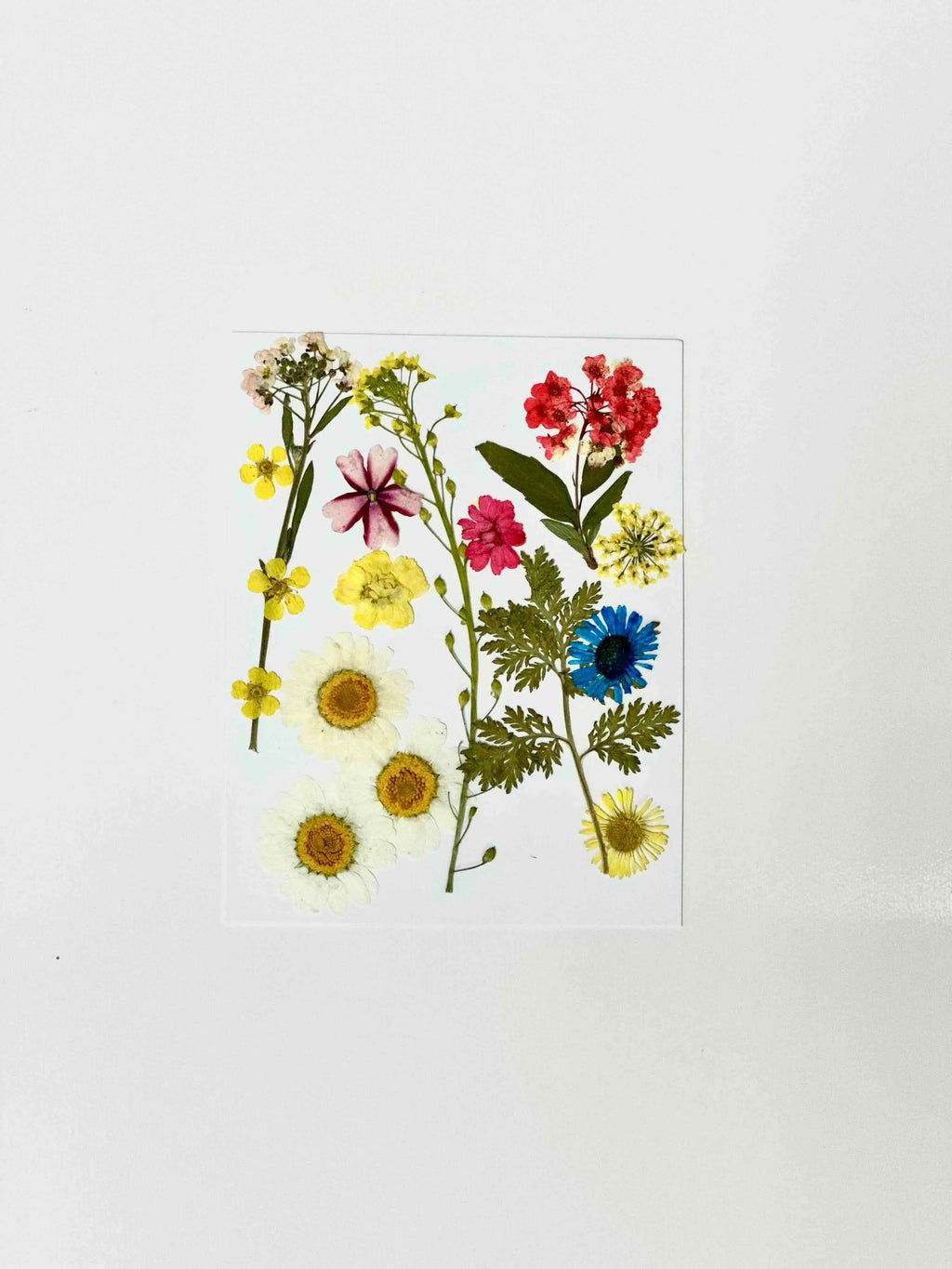 UV Resin Starter Kit - TrendoraX